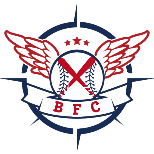 Bat for Charity